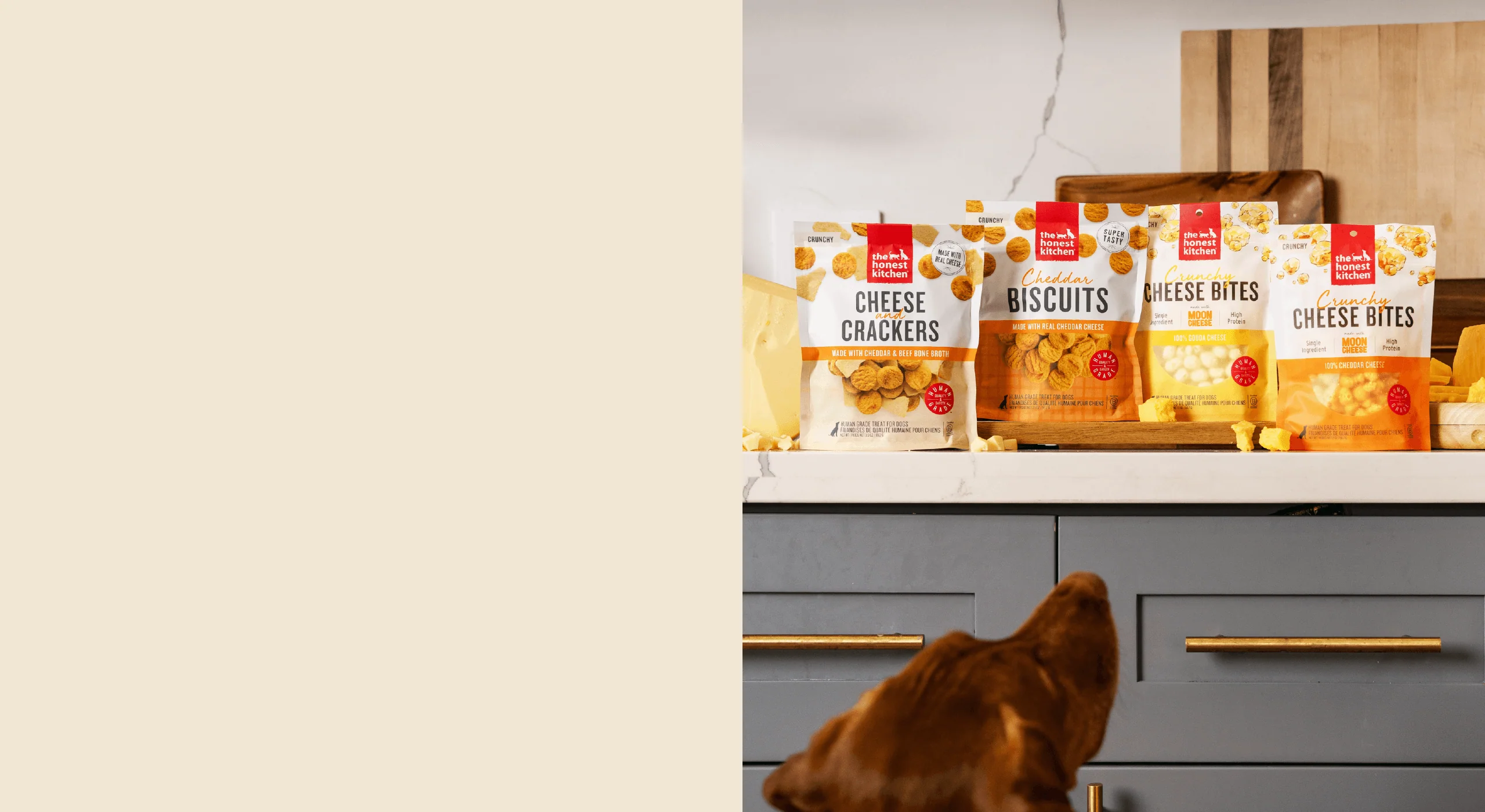 Real Food for Best Friends