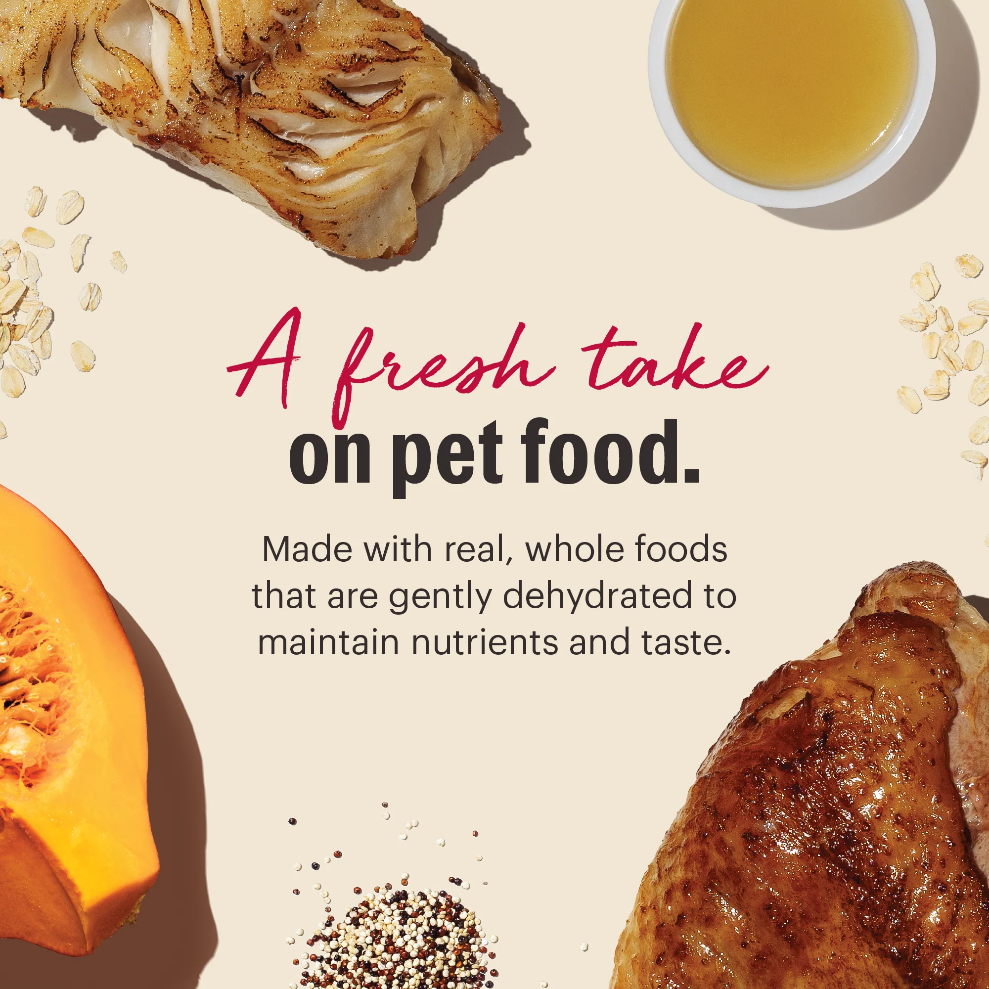 Wholemade™ Whole Grain Turkey & White Fish Dog Food - Image 3