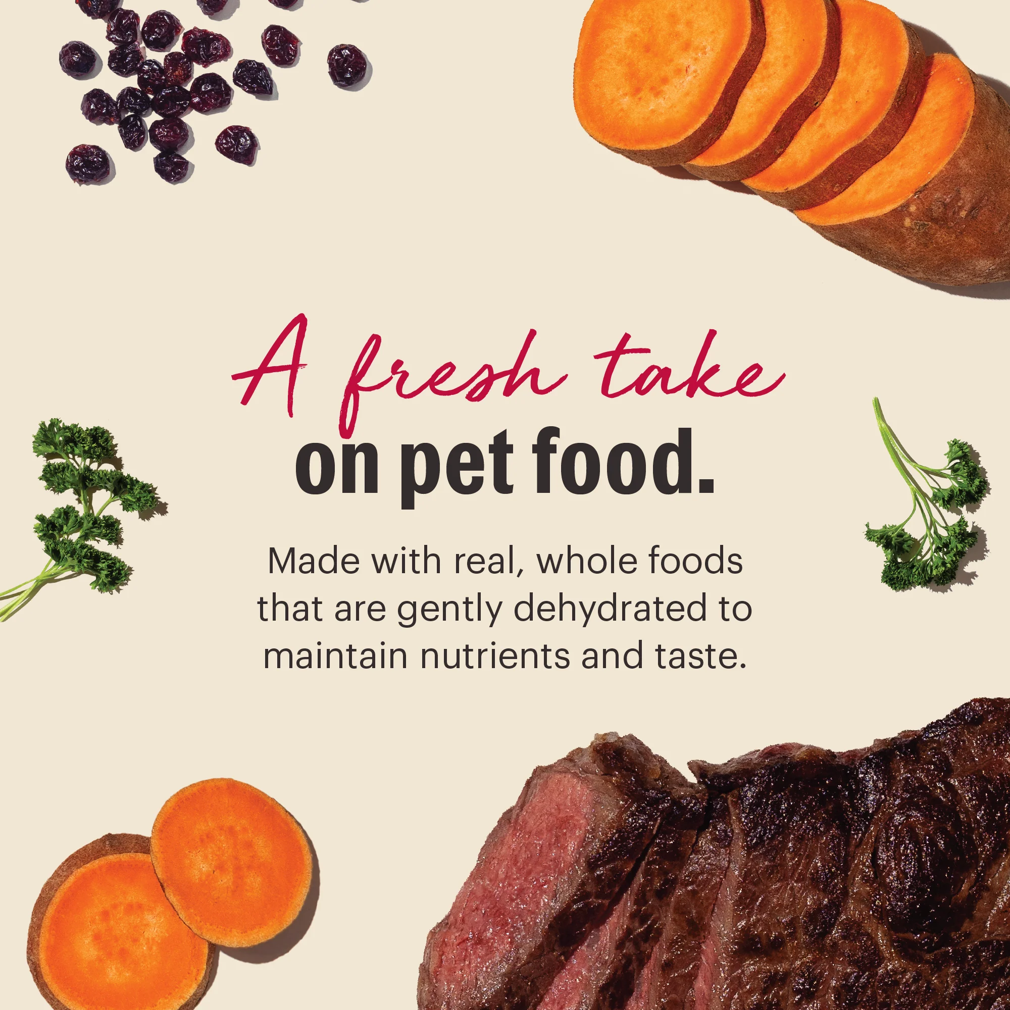 Wholemade Grain Free Beef - Image 3