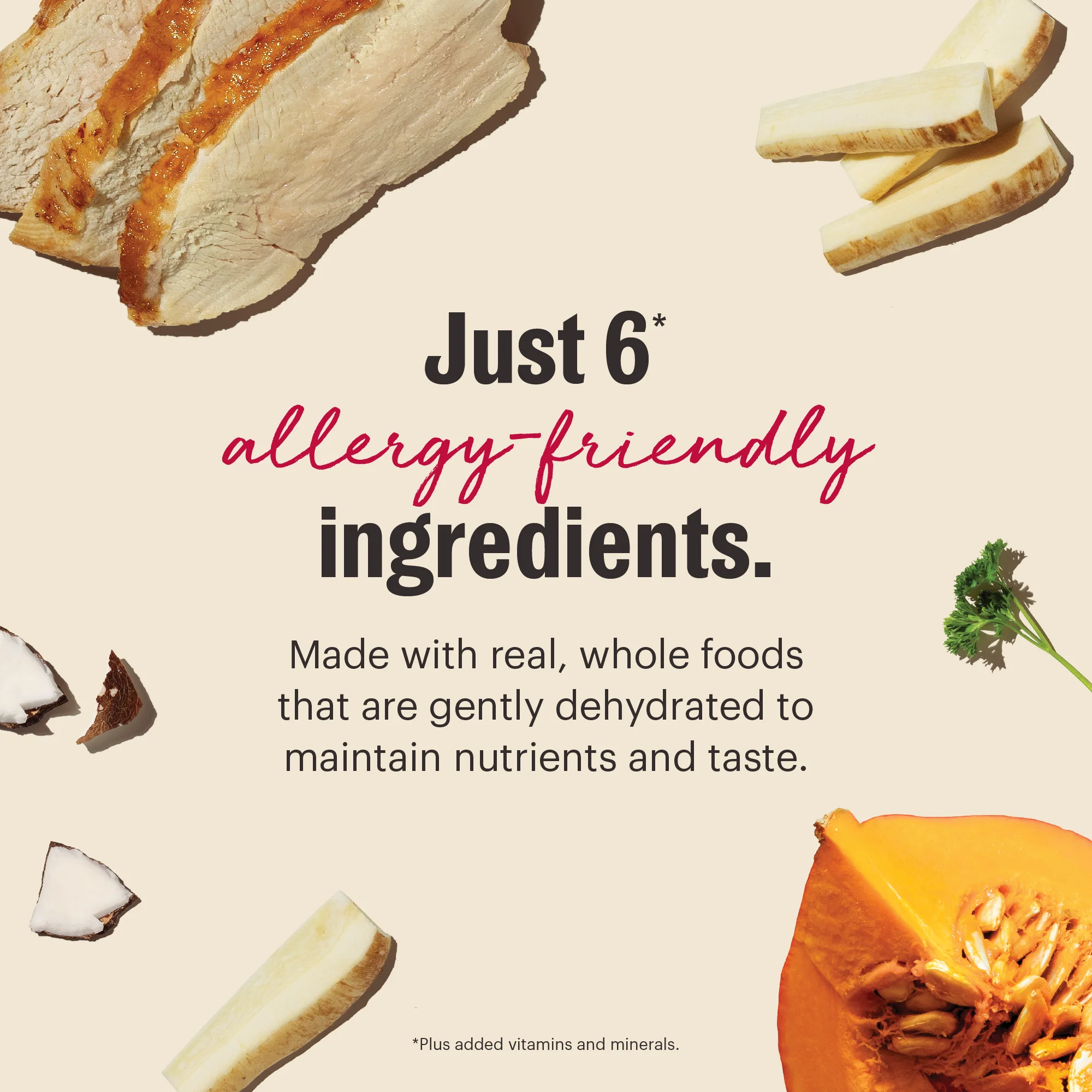 Wholemade Limited Ingredient Turkey - Image 3