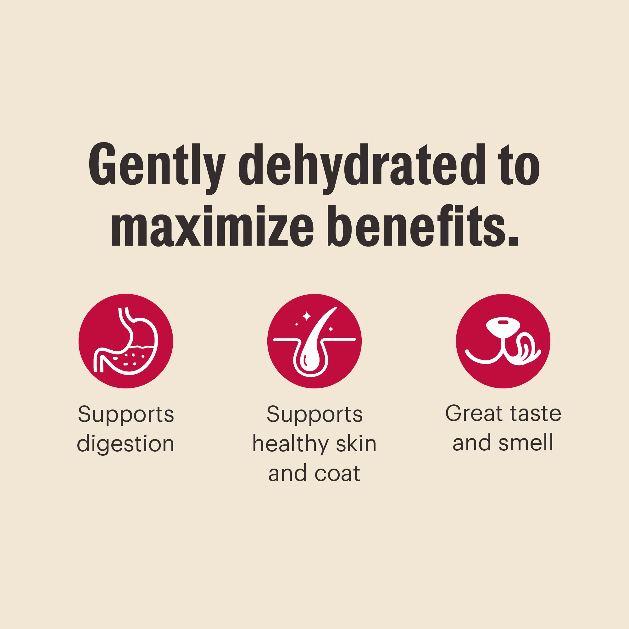 Wholemade Whole Grain Beef & Oat - Image 6