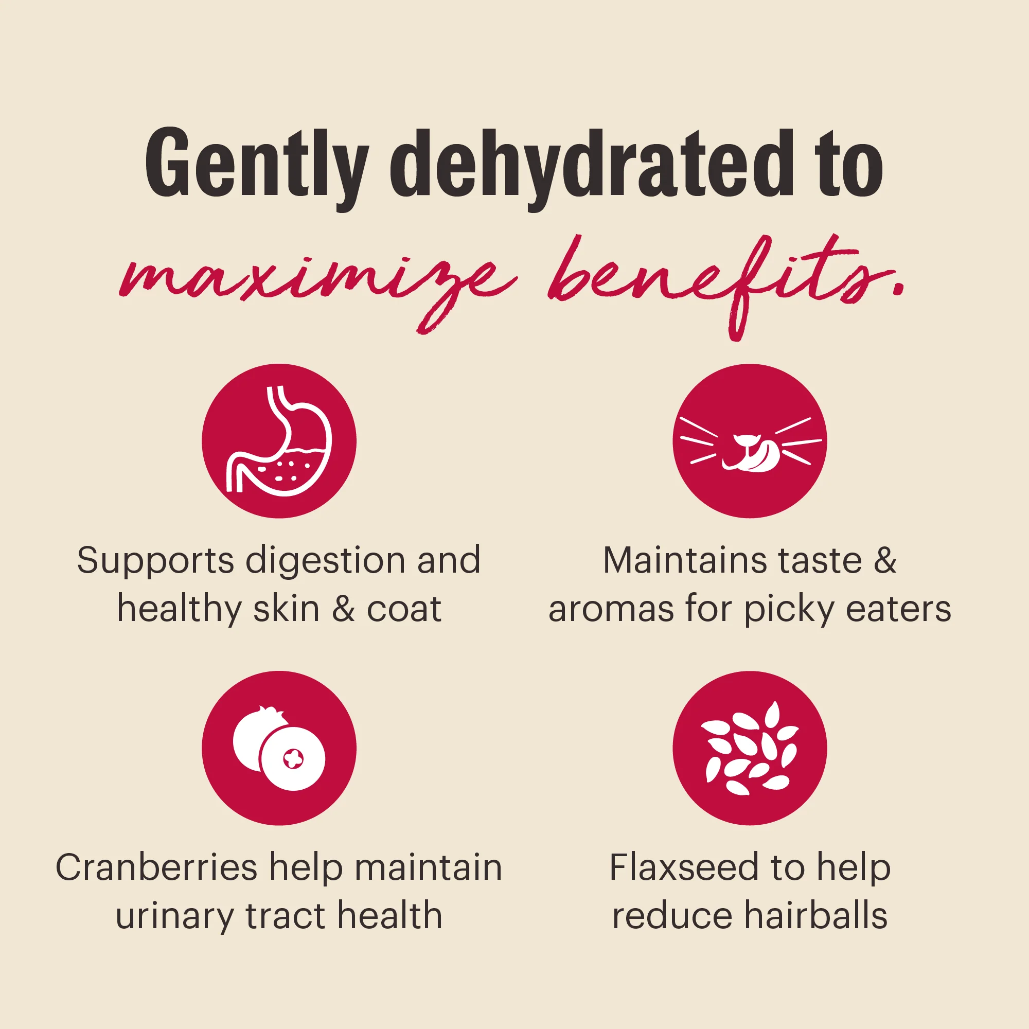 Dehydrated Grain Free Chicken & Fish - Image 4