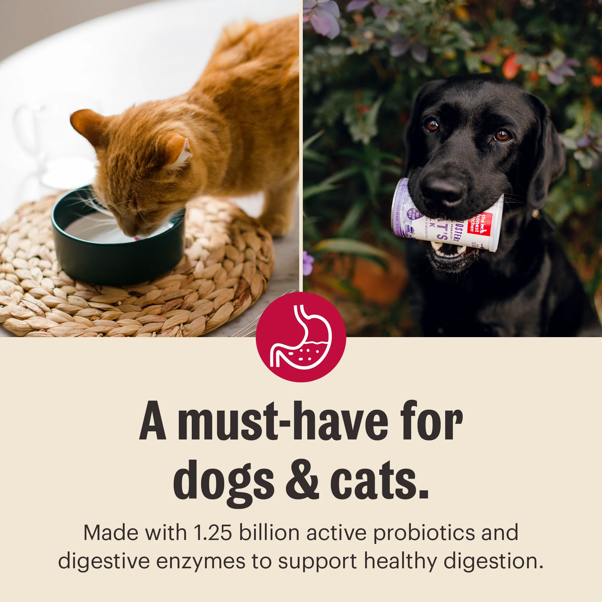 Instant Goat's Milk with Probiotics - Image 4