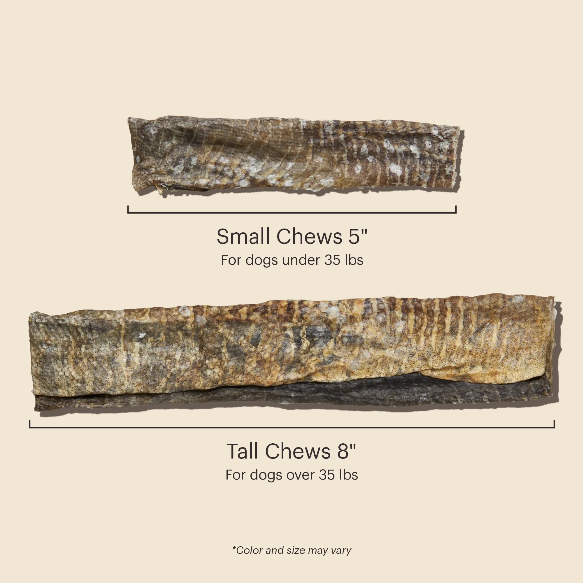 Ocean Chews Crispy Cod Fish Skins Beams - Image 4