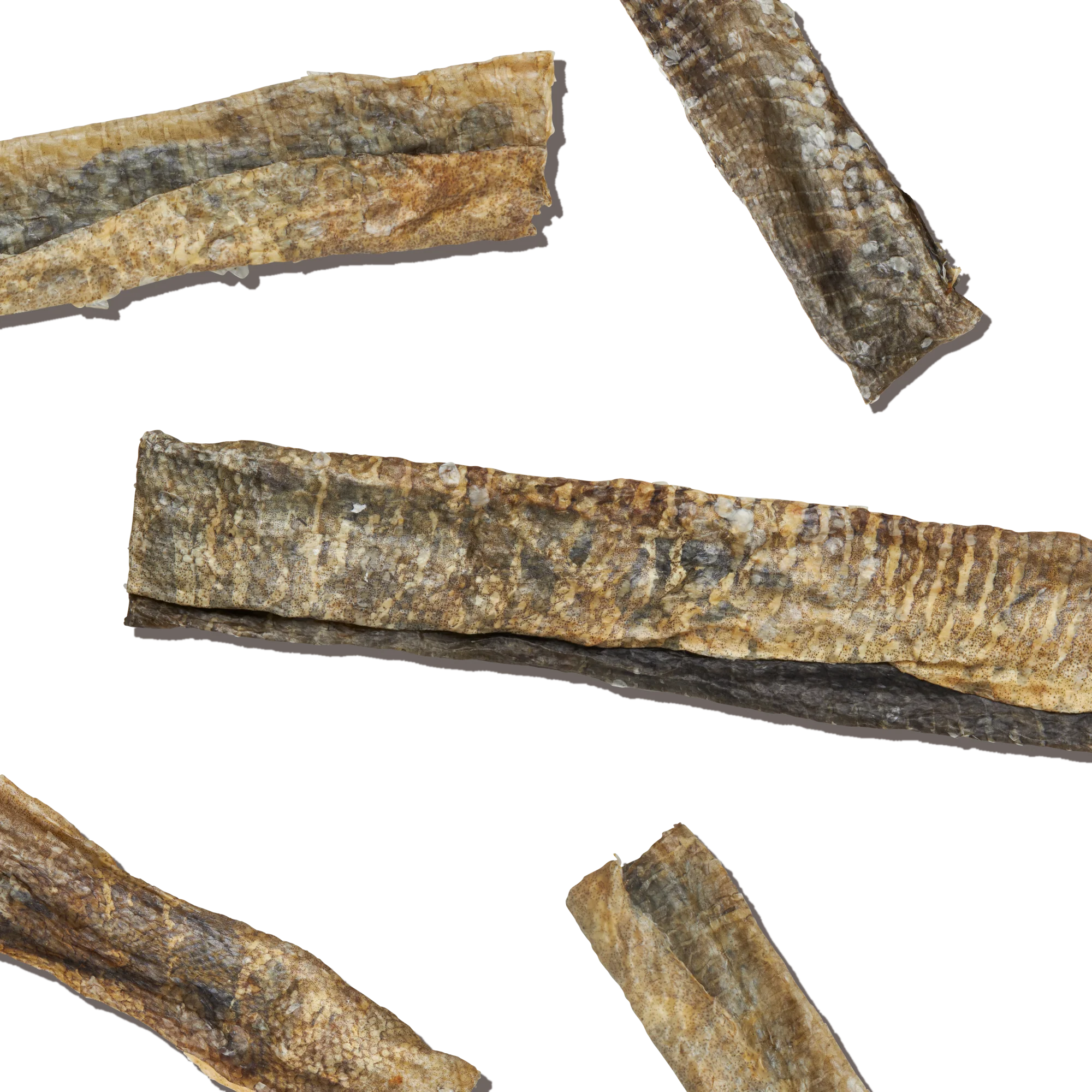 Ocean Chews Crispy Cod Fish Skins Beams - Image 7