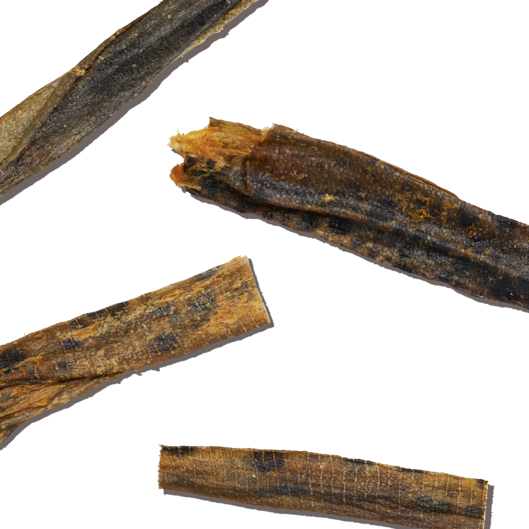 Ocean Chews Hearty Wolffish Skins Beams - Image 7