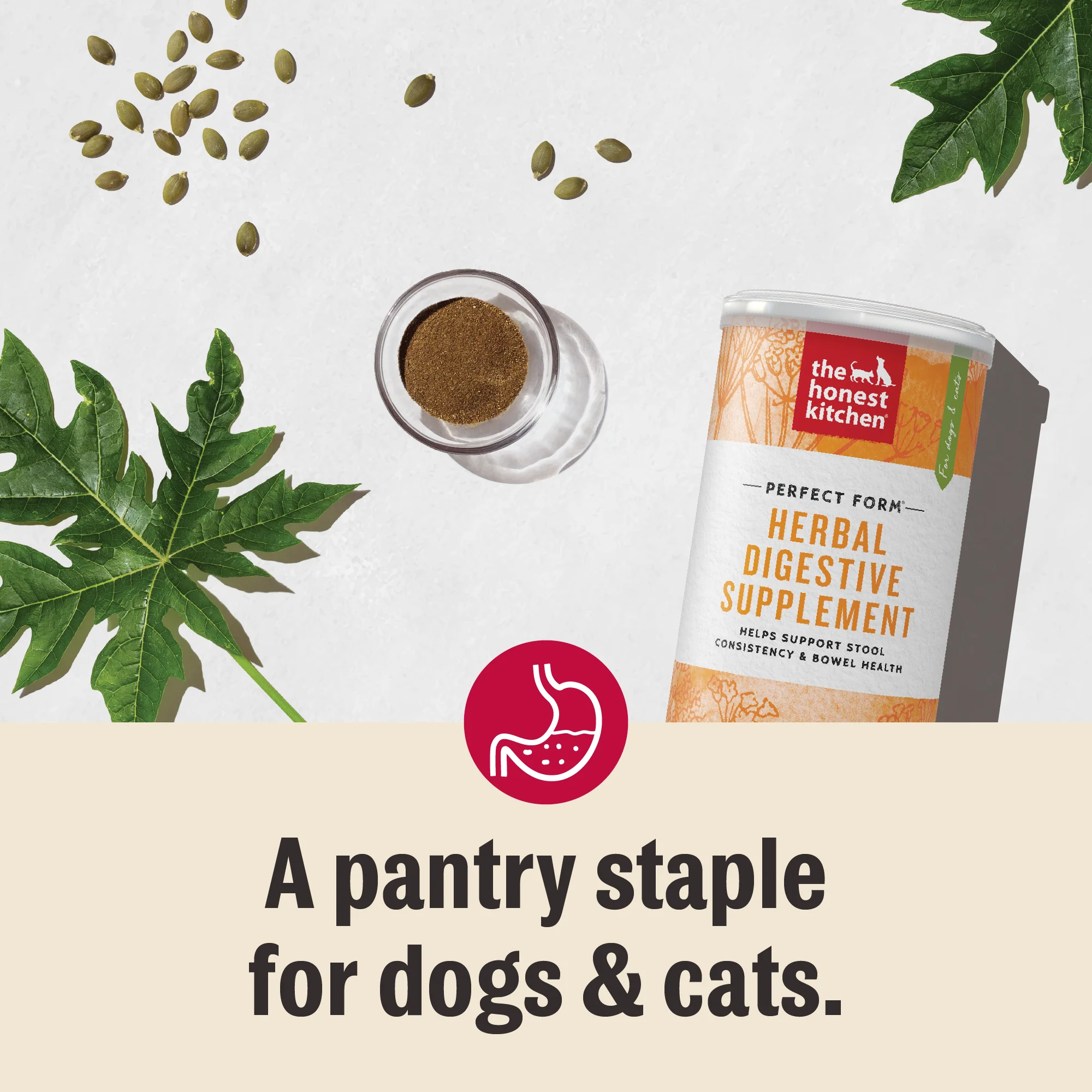 Perfect Form Digestive & GI Support - Image 4