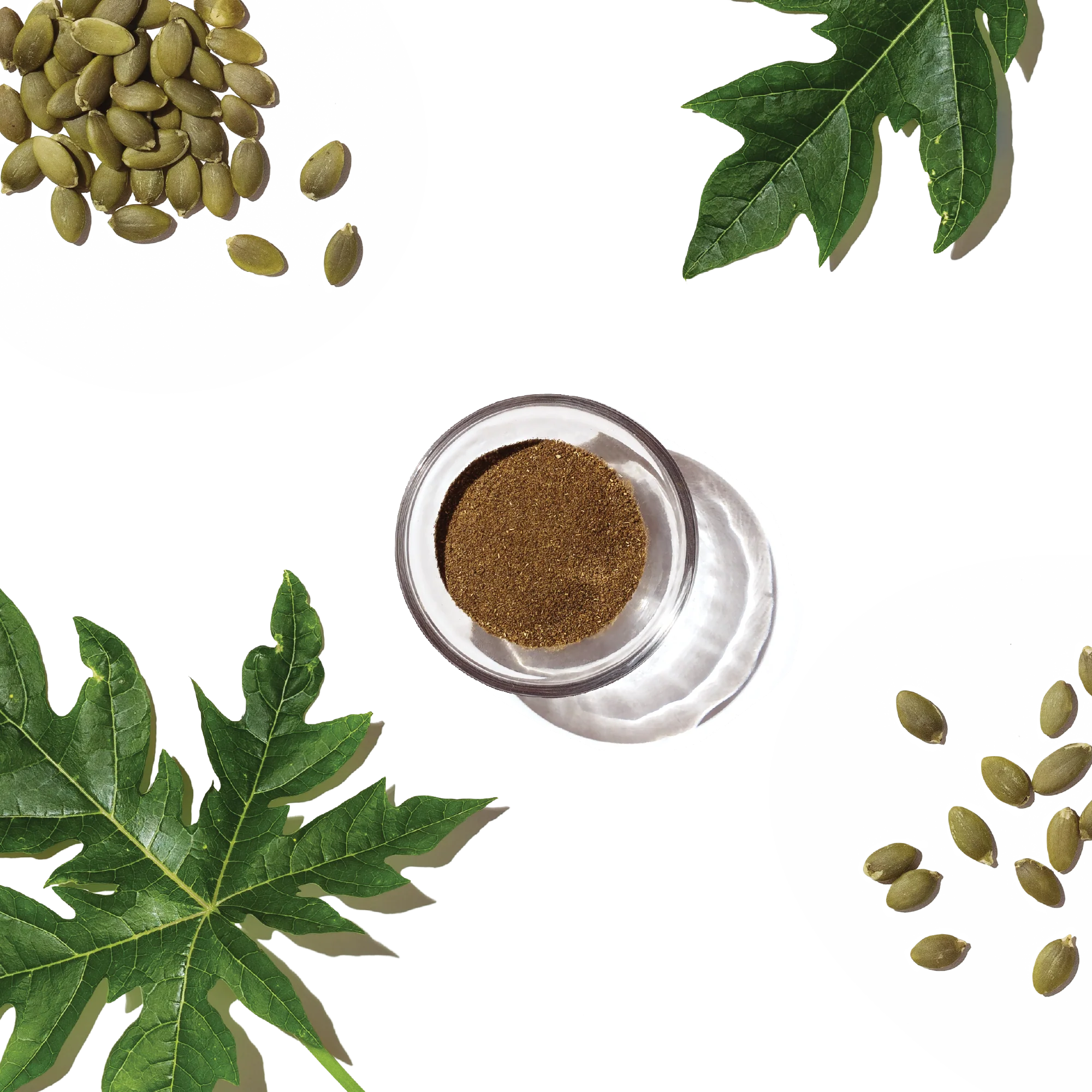 Perfect Form Digestive & GI Support - Image 7