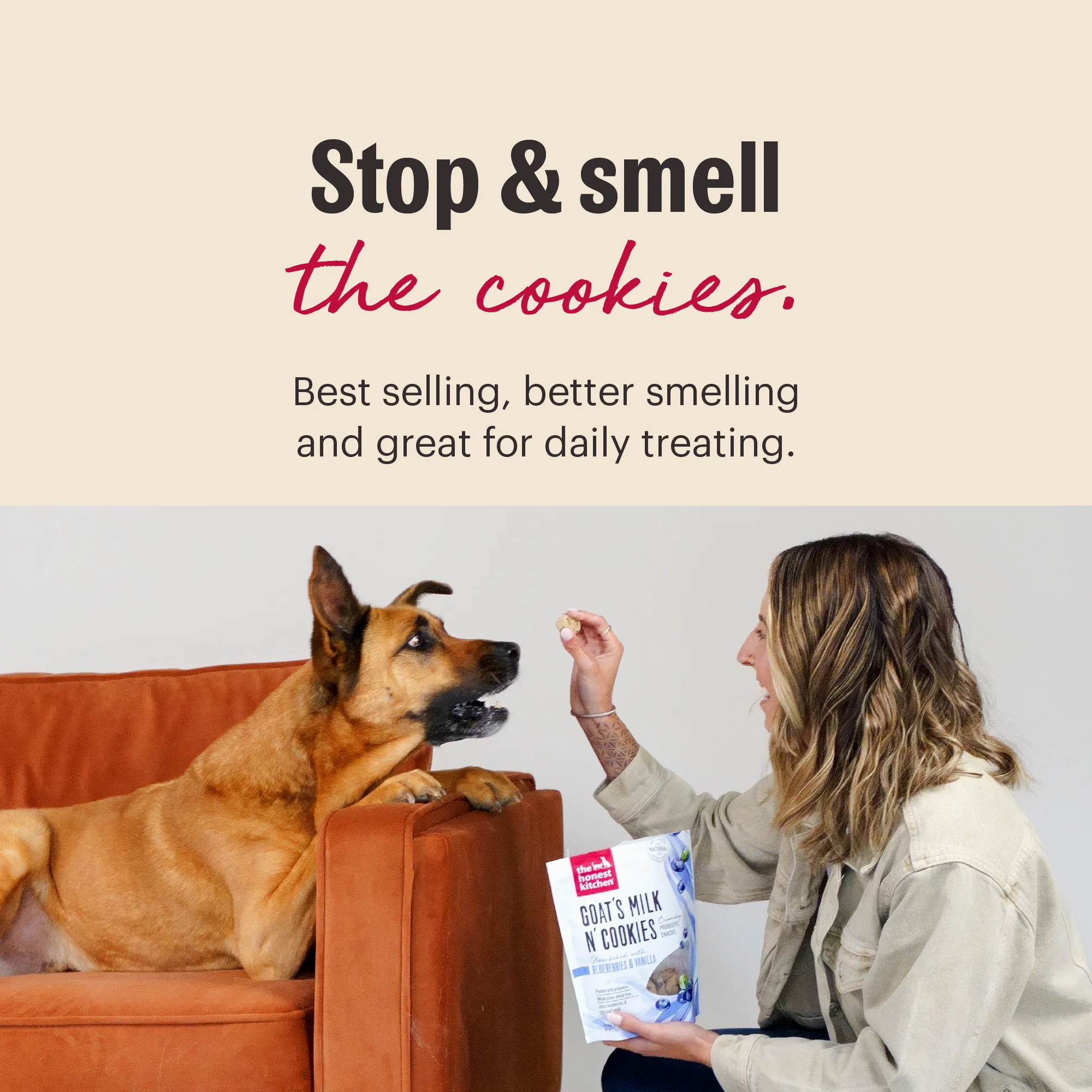 Blueberry & Vanilla Goat's Milk N' Cookies - Image 3