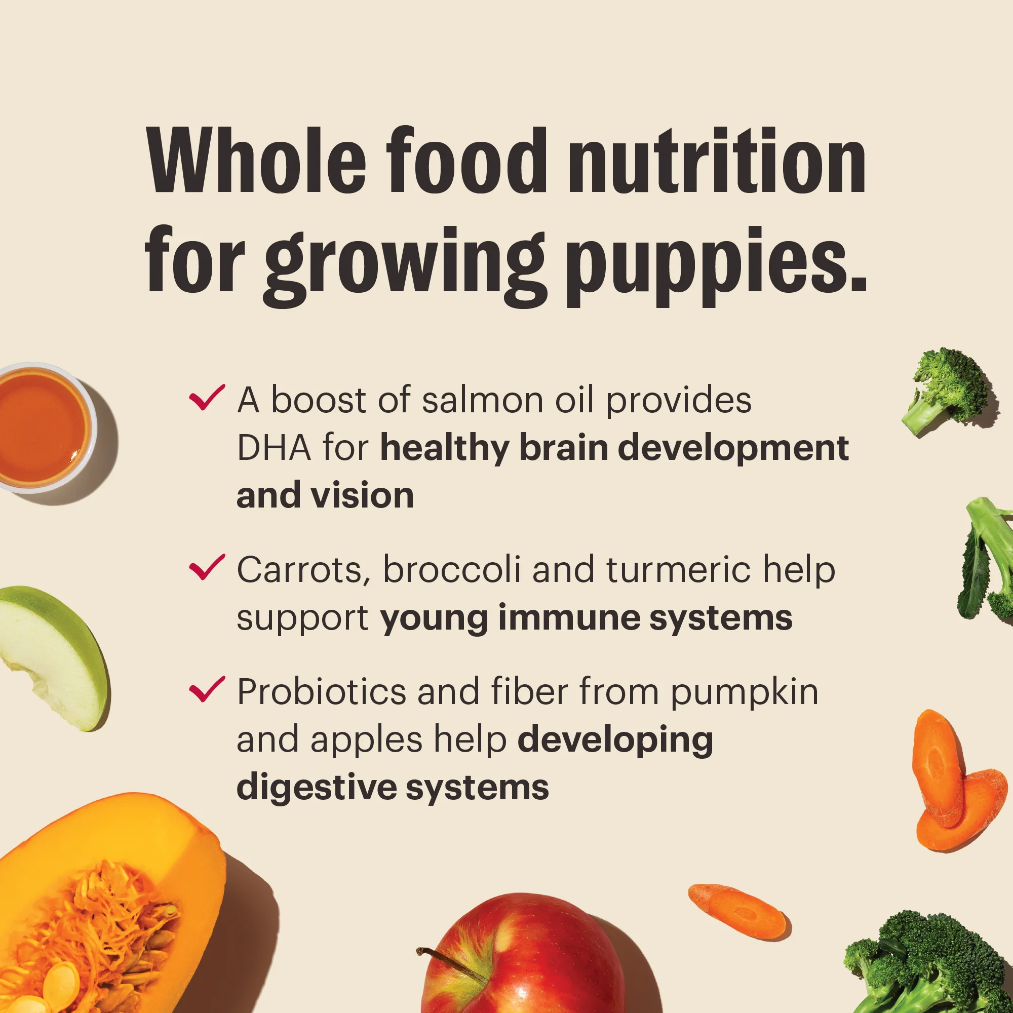 Whole Grain Chicken Whole Food Clusters for Puppies - Image 4