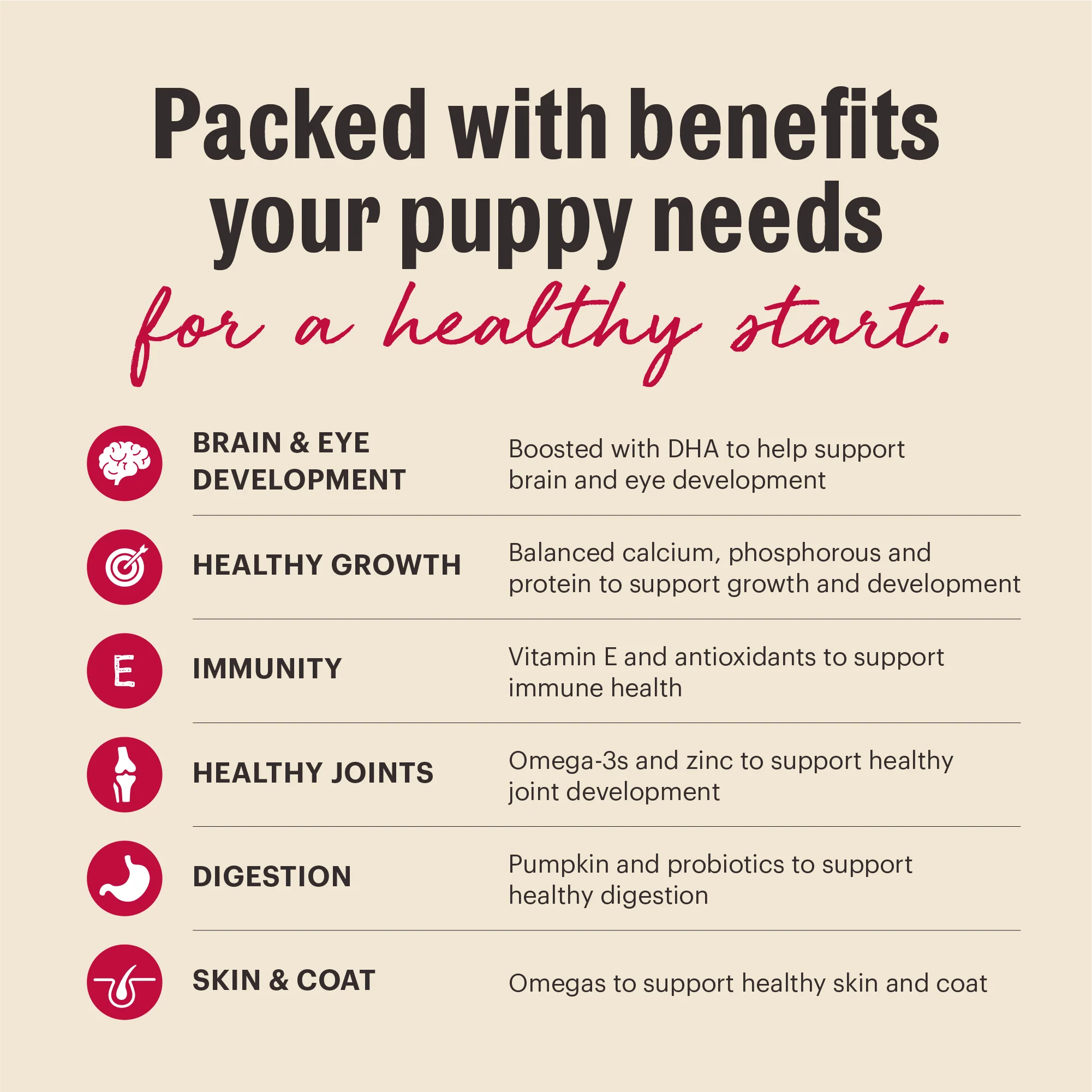 Wholemade Whole Grain Chicken & Salmon Dehydrated Puppy Dog Food - Image 4